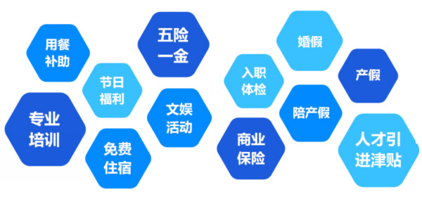 提供全面、系統(tǒng)、專業(yè)的培訓(xùn)和廣闊的<br>職業(yè)發(fā)展空間和提升機(jī)會